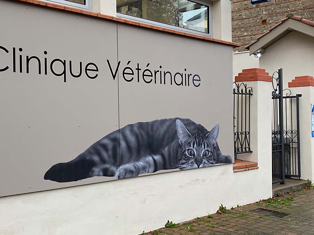 Clinique Vétérinaire